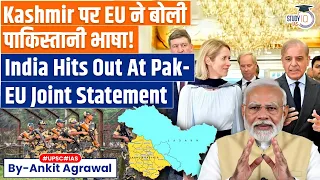 indias warning over eus j u0026k mention after pakistan meeting ankit agrawal study iq