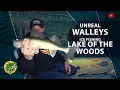 Zippel Bay Walleyes Are UNREAL Ice Fishing Lake of the Woods