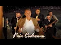 Download Lagu Puiu Codreanu ❌ Colaj Colinde de Crăciun 2024 🎄