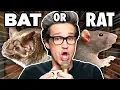 Make These Sounds With Just Your Mouth ft Justin Long