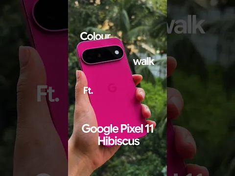 Today’s walk was sponsored by our pink obsession and Hibiscus Google Pixel 11 🩷✨