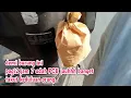 Download Lagu BURUNG KECIL PALING CERDAS DIMUKA BUMI‼️ cukup punya satu ini semua burung bisa ditirukan