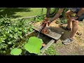 Pitcher pump fix