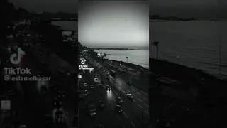 كلو بالحب اللي الحب نصيب 