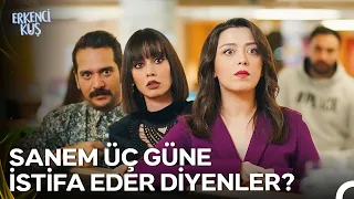 Ofiste En Ufak Dedikodusu Kırıntısına Bizim Kitleniş😂 - Erkenci Kuş