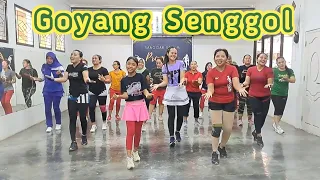 Download GOYANG SENGGOL - Senam Kreasi Dangdut Remix | Choreo by SS Prambos MP3