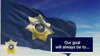 STPSO - Strategic Goals