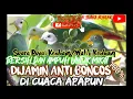 Download Lagu \