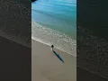 Download Lagu Paradise Found #dj #beautiful #travel #beach #nature #viral #shorts