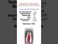 Download Lagu Surah Al-Baqarah Ayat No 54 (Part -2) Tafseer and Tarjuma words by words #quran #surahbaqrah