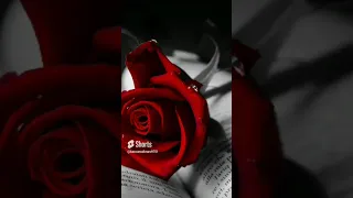 أغنية لقد قتلت زهرتي  إحساس بالراحة  دندنها