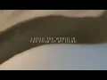 Arrows (I Will Be With You) - Bethel Music, We The Kingdom | Peace, Vol II
