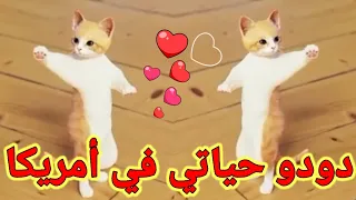  اغنية دودو حياتي دودو اغنيه باسم دودو دودو دودو  سياحة امريكا                                       دندنها