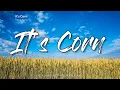 it s corn kid tiktok song for me i really like corn