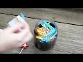 Candlebalism & Showing My Dog Fire for the First Time