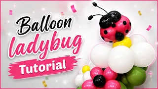 Balloon ladybug 