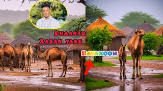 XASAN YARE DHAANTO CUSUB DEGMADA BAYAXOOW NEW VIDEO HD  XASAN YARE DHAANTO CUSUB DEGMADA BAYAXOOW NEW VIDEO HD