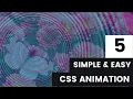 Top CSS Javascript Animation Hover Effects 2021