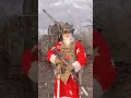 Download Lagu Happy New Year message from the Archangel of Special Force of Russia #2023 #ukrainewar