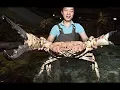 Download 10 Biggest Catches of All Time mp4 3gp mp3 videos - waplic
