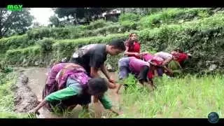 official video syali meri anu dhoom singh rawat new garhwali video song mgv digital