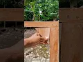 Lagu tips end tricks.. #WoodJoinery #CarpenterLife #HandmadeWood #woodworking #carpenter #WoodProjects