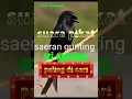 Download Lagu Suara pikat sri gunting / saeran gunting