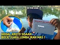Modal kroto ceban bocil juara lomba mancing ikan mas