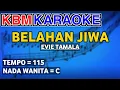 Download Lagu BELAHAN JIWA - Evie Tamala | KARAOKE HD