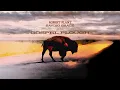 Robert Plant - Gospel Plough (Official Audio)