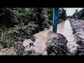 Download Lagu Tunggu saja sampai airnya agak terang sudah pasti ikan ngumpul di parit ini