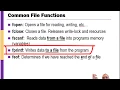 Writing to a Text File in C
