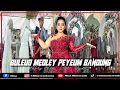 Download Lagu NINA MINCREUNK - BULEUD MEDLEY PEYEUM BANDUNG || IBAS PRODUCTION || ABAH YANA SOUND || 2022.