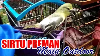 Download Cipoh Sirtu Preman Tarung Outdoor - Komunitas Cipow Tangerang MP3