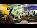Download Lagu Short!! Sholawat Prau Layar ustadzah MUMPUNI