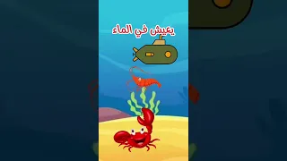 حرف الحاء حوت أغنية حوت للأطفاء 
