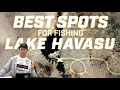 Lake Breakdown Essential Zones for Catching Bass on Lake Havasu