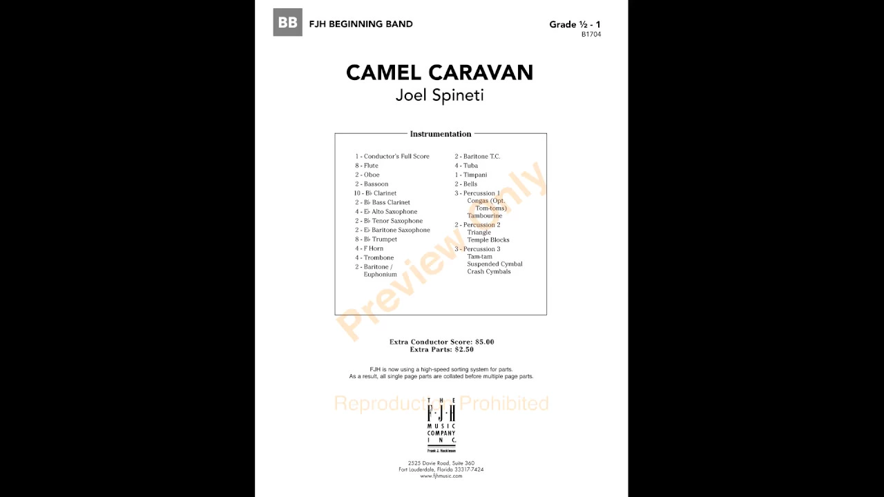 Camel Caravan - Joel Spineti Camel Caravan - Joel Spineti