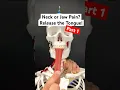Download Lagu Part 1 - Jaw or Neck Pain? Release Your Tongue! #tmj #neckpain #headache