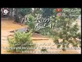 Download Lagu Surah Ar-Rum ayat 41 story wa