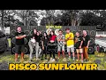 Download Lagu DISCO SUN FLOWER - COCOLENSE FT TORANG KAWANG