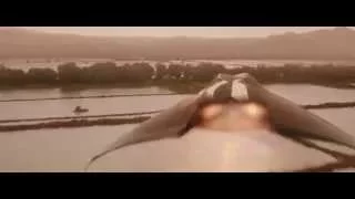 Stealth 2005 - Talon 1 Ben Gannon journey to Korean DMZ
