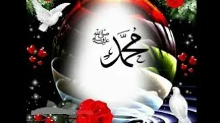 انشودة محمد نبينا و أمه آمنة و أبوه عبد الله دندنها