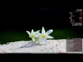 How to install i3 on any Linux Mint 18 2 using XFCE