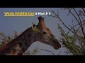 10 holidays in March