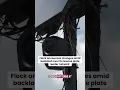 Flock announces changes amid backlash over its license plate reader network