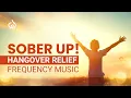 Cure Hangover Frequency Hangover Relief Music Sober Up Meditation