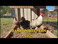 Bufalo Game Farm 2025 - Bamasports Farm