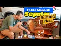 Download Lagu FAKTA BURUNG PLECI BISA NEMBAK ISIAN(ADA TIPS NYA1!)Dan gak semua Pleci bisa????