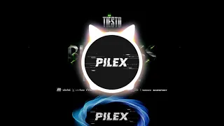 Download Tiesto   The Business (Pilex Remix) Extended Mix MP3